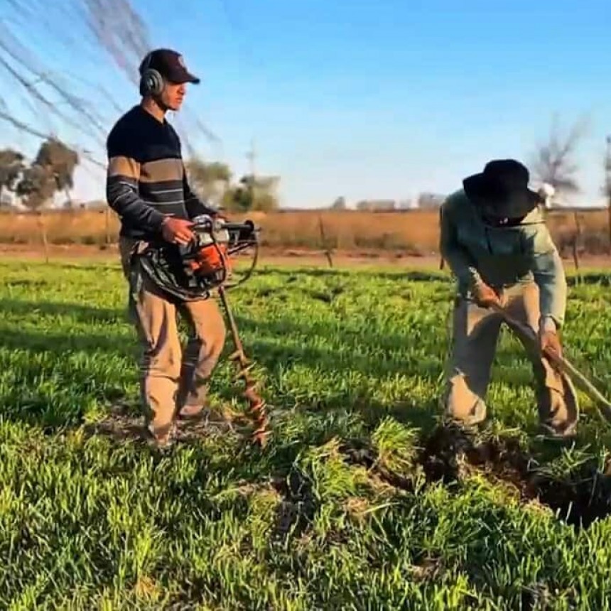 SE PLANTARON SAUCES EN EL COMPLEJO ECOLÓGICO