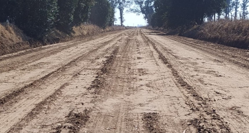 REPARACIÓN DEL CAMINO RURAL 123-11