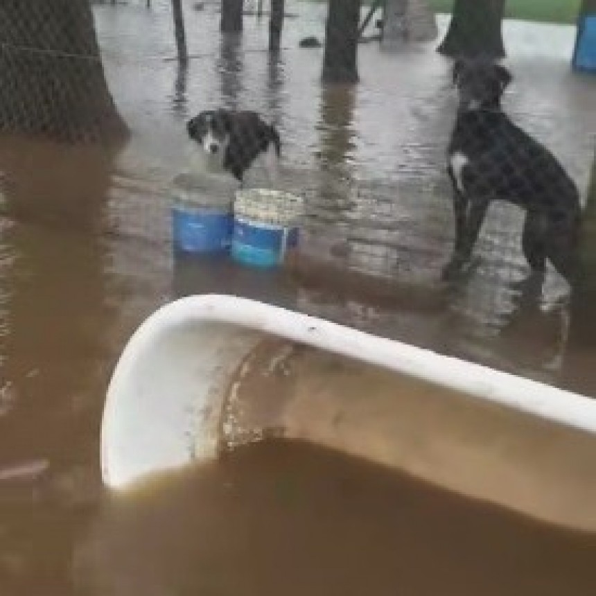 EL HOGAR COLITAS ANEGADO TRAS LA LLUVIA