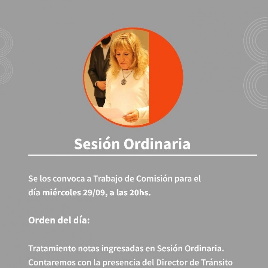 TRABAJO EN COMISIÓN EN EL CONCEJO