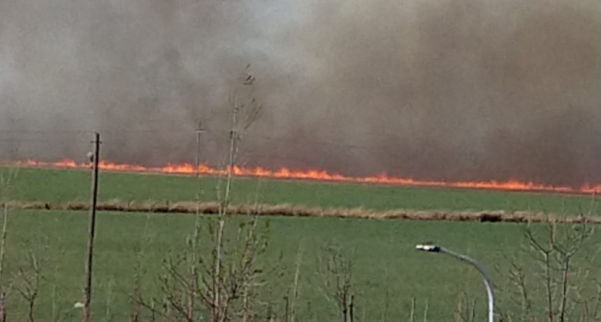 DOS INCENDIOS RURALES DE PROPORCIONES EN MONTE MAÍZ