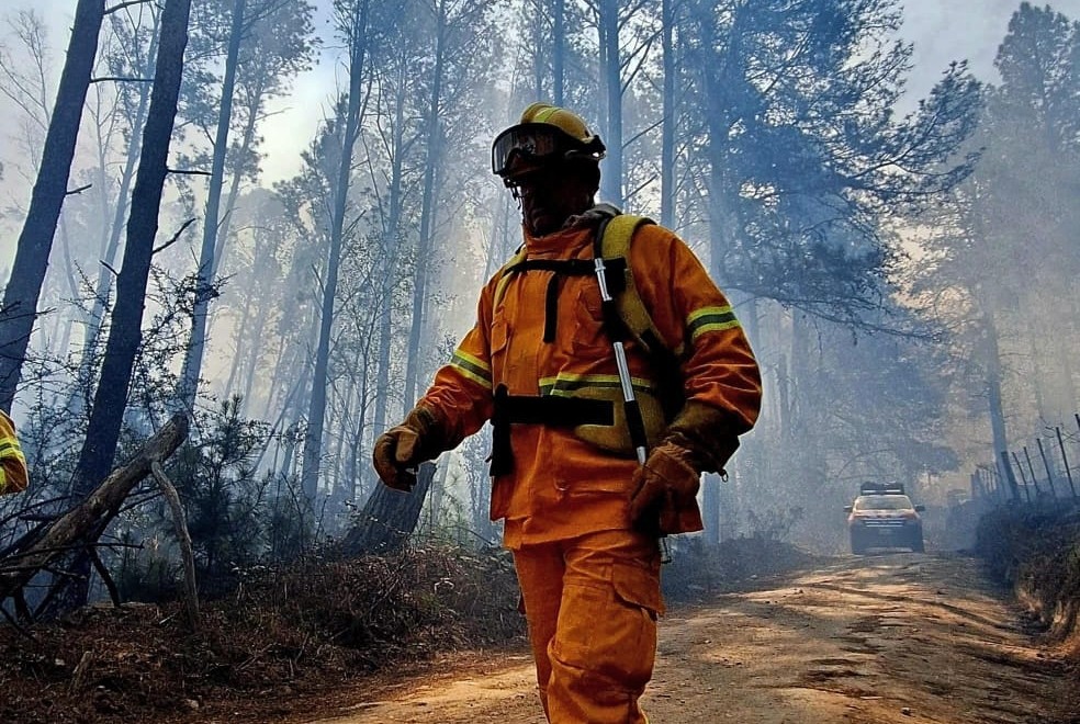 ESTÁN CONTENIDOS LOS INCENDIOS FORESTALES EN LA PROVINCIA