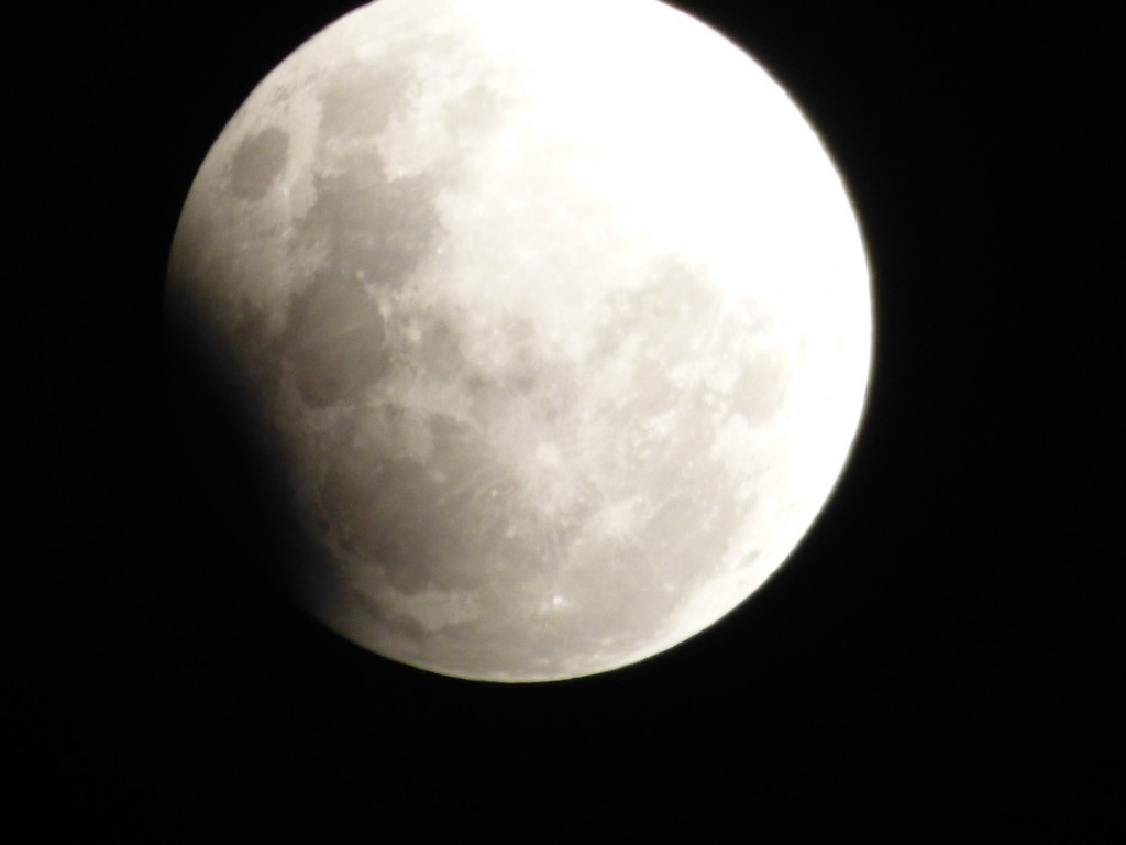 IMÁGENES LOCALES DEL ECLIPSE DE LUNA