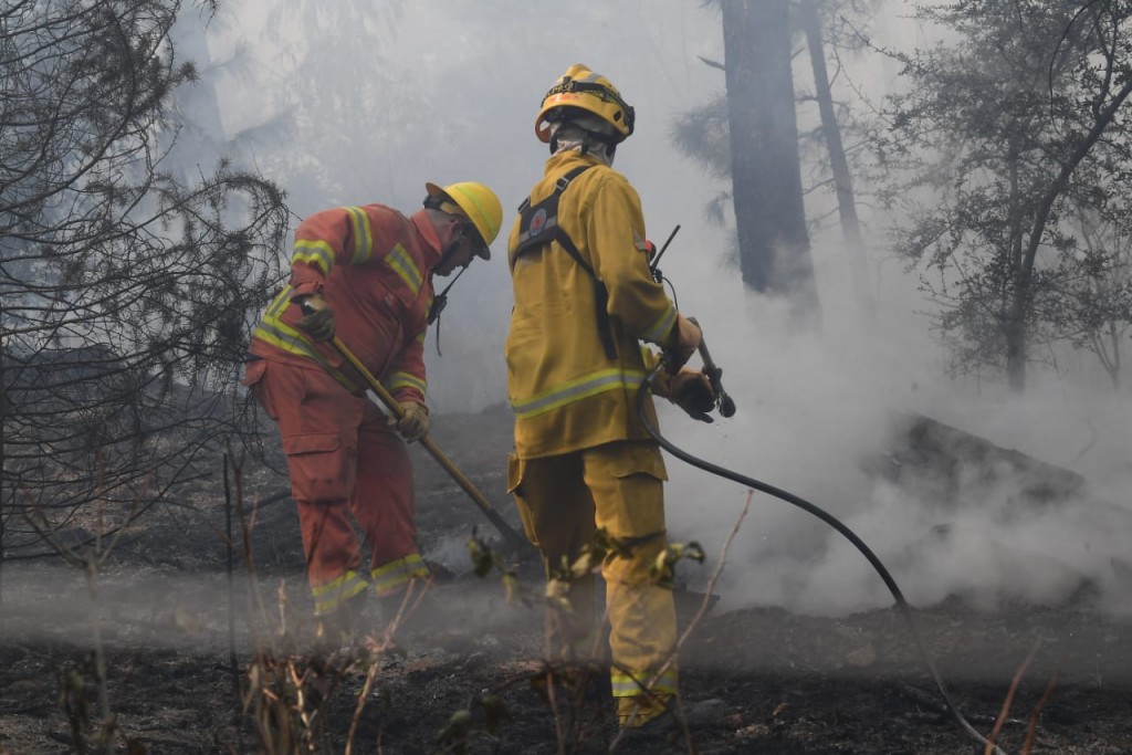 CUESTIONAN ACCIONAR DEL GOBIERNO CON LOS INCENDIOS