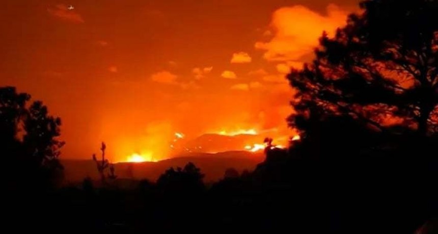 UN MONTEMAICINO EN EL LUGAR DE LOS INCENDIOS