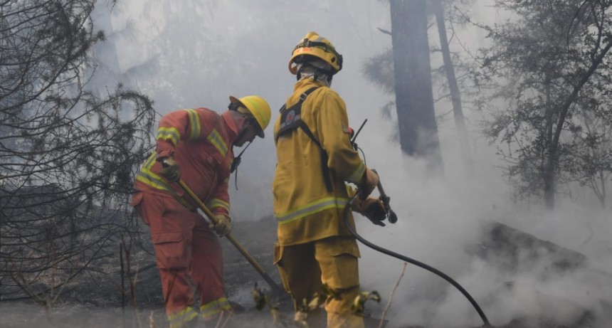 CUESTIONAN ACCIONAR DEL GOBIERNO CON LOS INCENDIOS