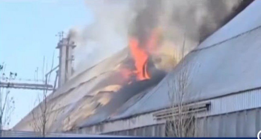 INCENDIO DE MAGNITUD EN DALMACIO VÉLEZ