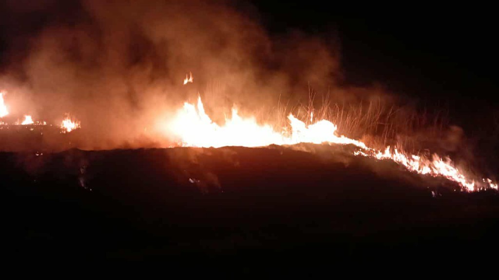 INCENDIO DE BANQUINA EN RUTA 3