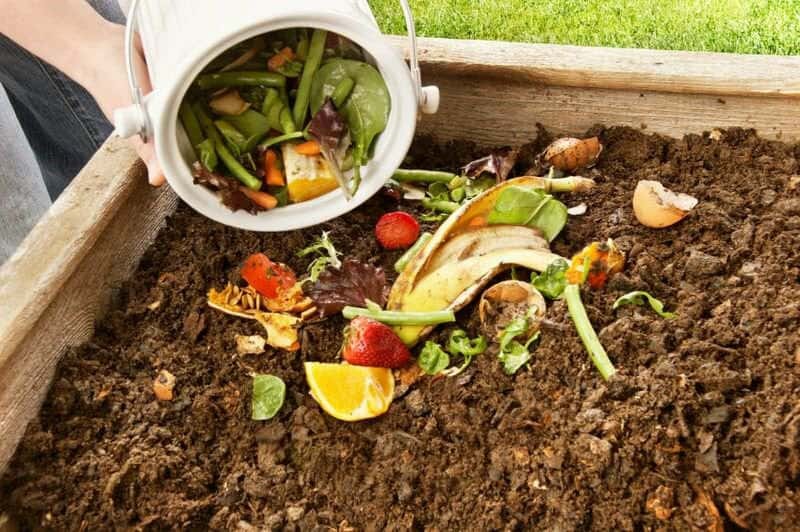COMPOSTAJE DOMÉSTICO PARA UN AMBIENTE MÁS SALUDABLE