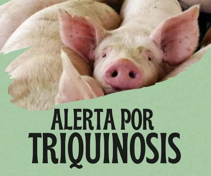 ALERTA POR CASOS DE TRIQUINOSIS