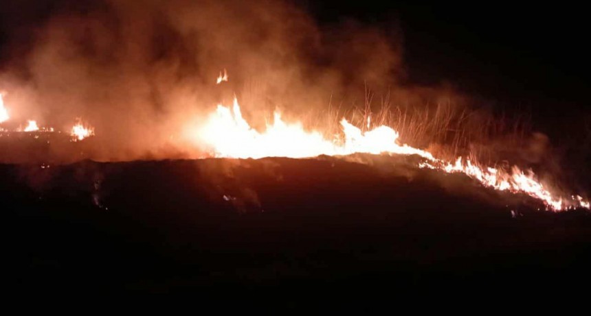 INCENDIO DE BANQUINA EN RUTA 3