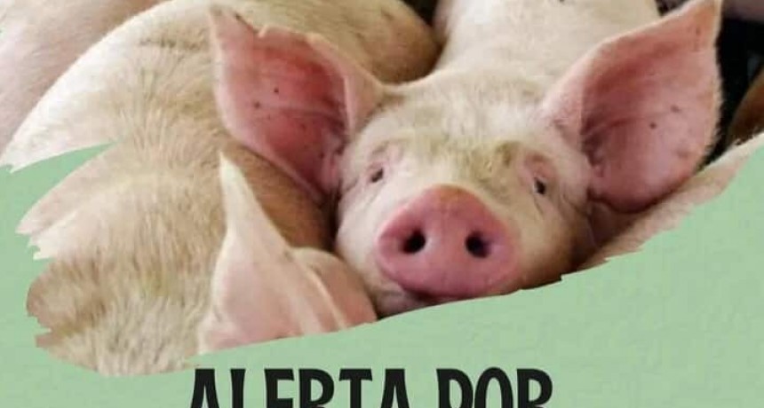 ALERTA POR CASOS DE TRIQUINOSIS