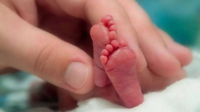 BEB&Eacute;S QUE NACEN CON COCA&Iacute;NA EN SANGRE
