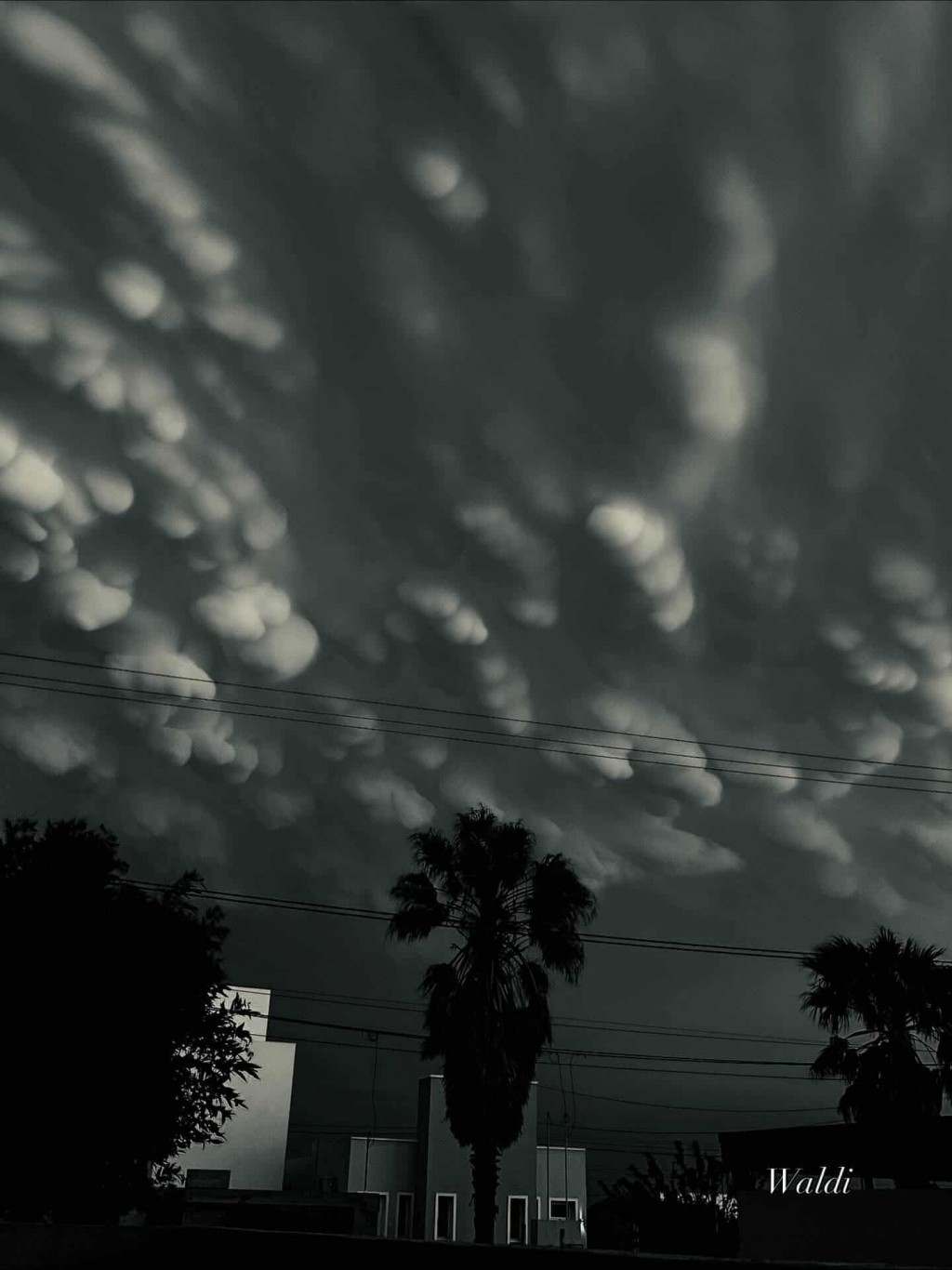 CIELO DE PELÍCULA CON LA FORMACIÓN DE NUBES MAMMATUS