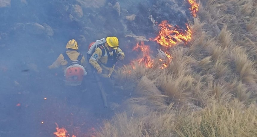 COMBATEN INCENDIO EN EL PARQUE QUEBRADA DEL CONDORITO