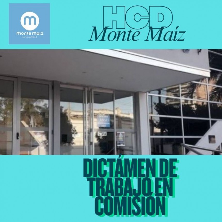 DOS DICTÁMENES ELEVADOS AL CONCEJO