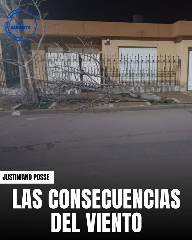 EL VIENTO PROVOCÓ DESTROZOS Y DAÑOS EN LA REGIÓN