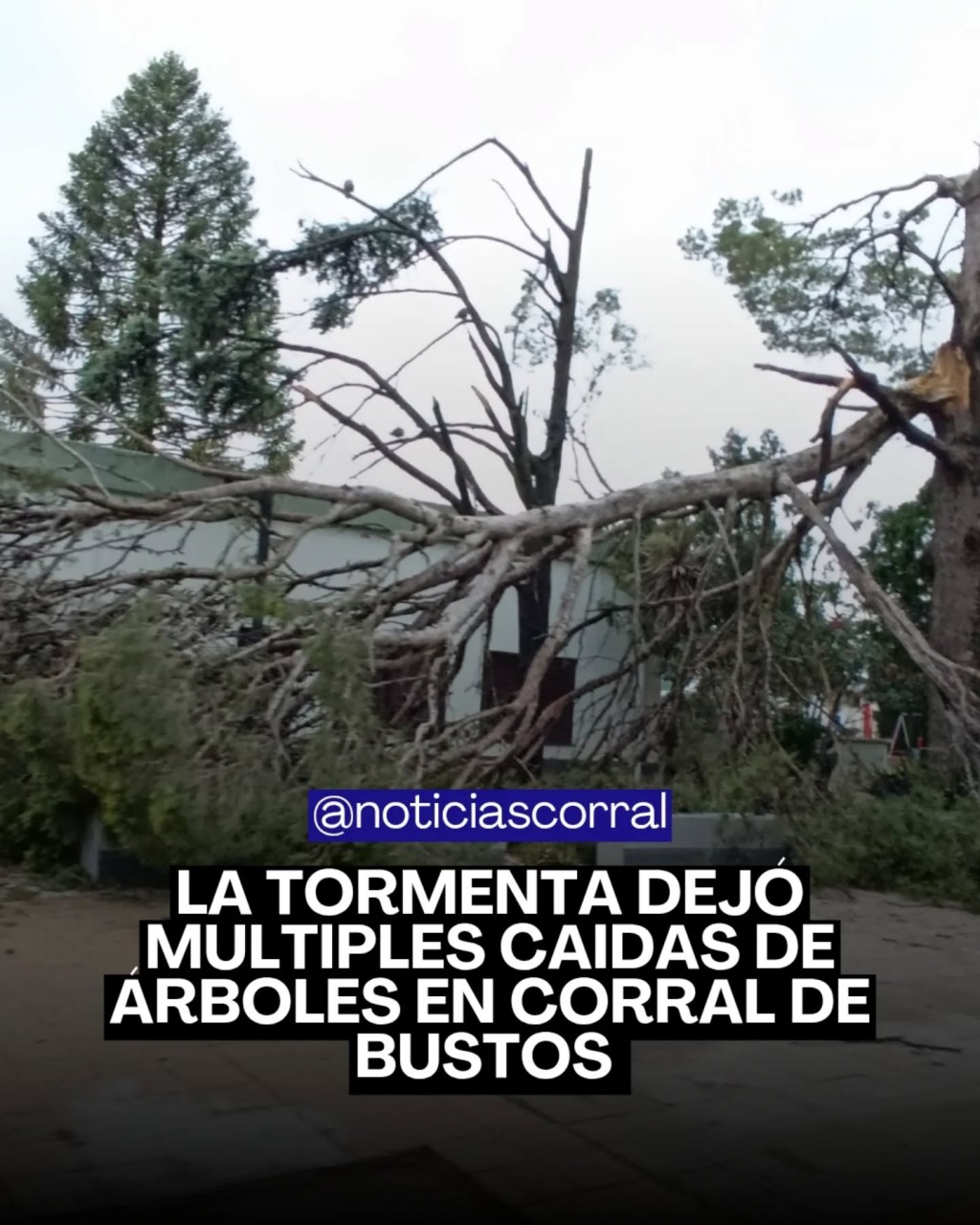 LA MAGNITUD DE LA TORMENTA EN CORRAL DE BUSTOS