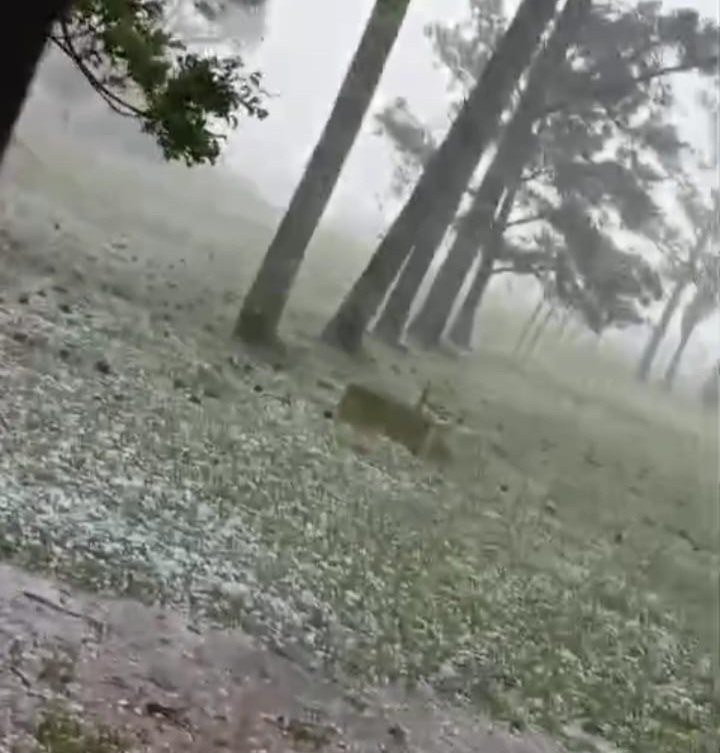 MUCHO GRANIZO EN ZONA RURA DE SANTA EUFEMIA