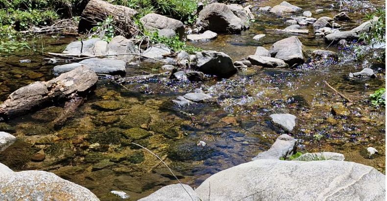 MÁS DE 300 MIUL TURISTAS EN CÓRDOBA