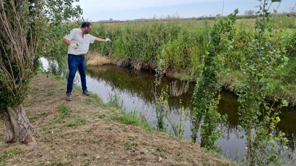 COLOCACIÓN DE LARVICIDAS EN PUNTOS CRÍTICOS DEL PUEBLO