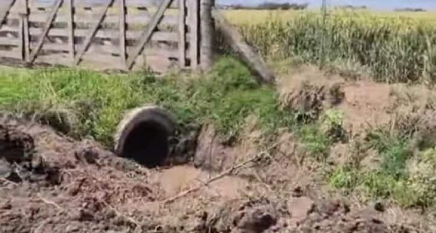 LIMPIEZA DE ALCANTARILLAS EN CAMINOS RURALES