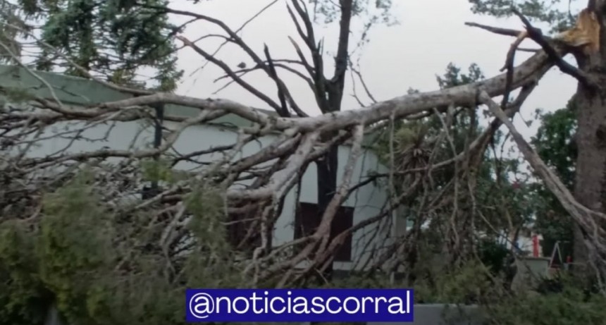LA MAGNITUD DE LA TORMENTA EN CORRAL DE BUSTOS