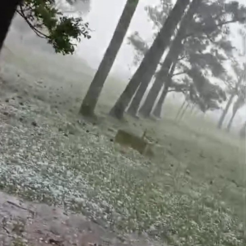 MUCHO GRANIZO EN ZONA RURA DE SANTA EUFEMIA