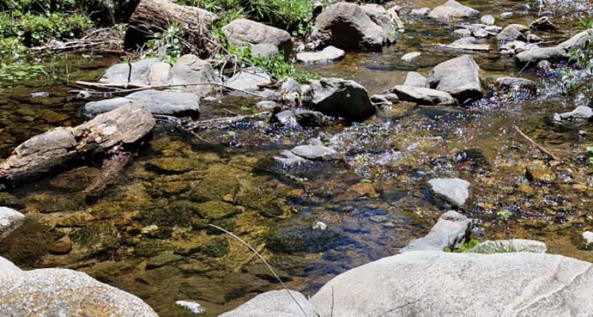 MÁS DE 300 MIL TURISTAS EN CÓRDOBA