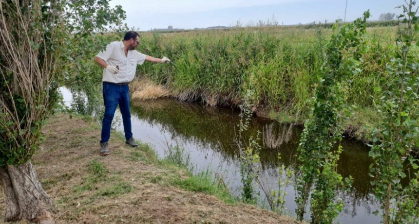 COLOCACIÓN DE LARVICIDAS EN PUNTOS CRÍTICOS DEL PUEBLO