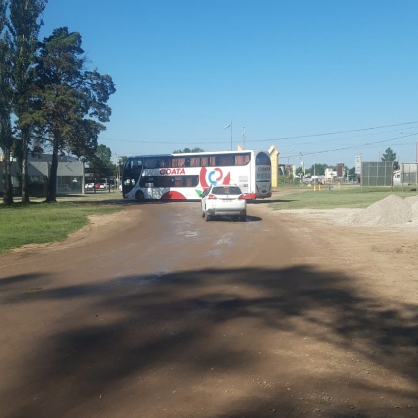 COATA QUEDÓ VARADO EN LA TERMINAL