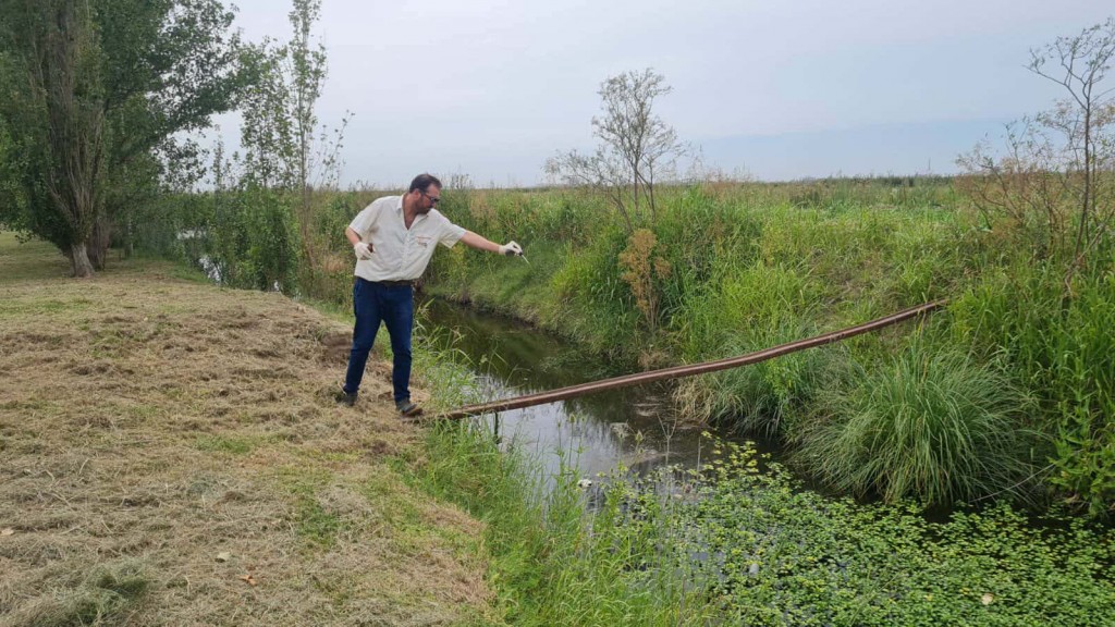 INTENSIFICAN LA LUCHA CONTRA LOS MOSQUITOS