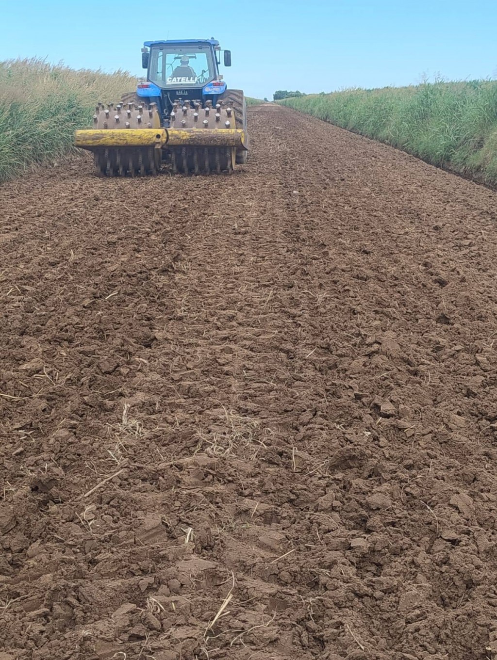 TRABAJOS DE NIVELACIÓN EN CAMINO RURAL