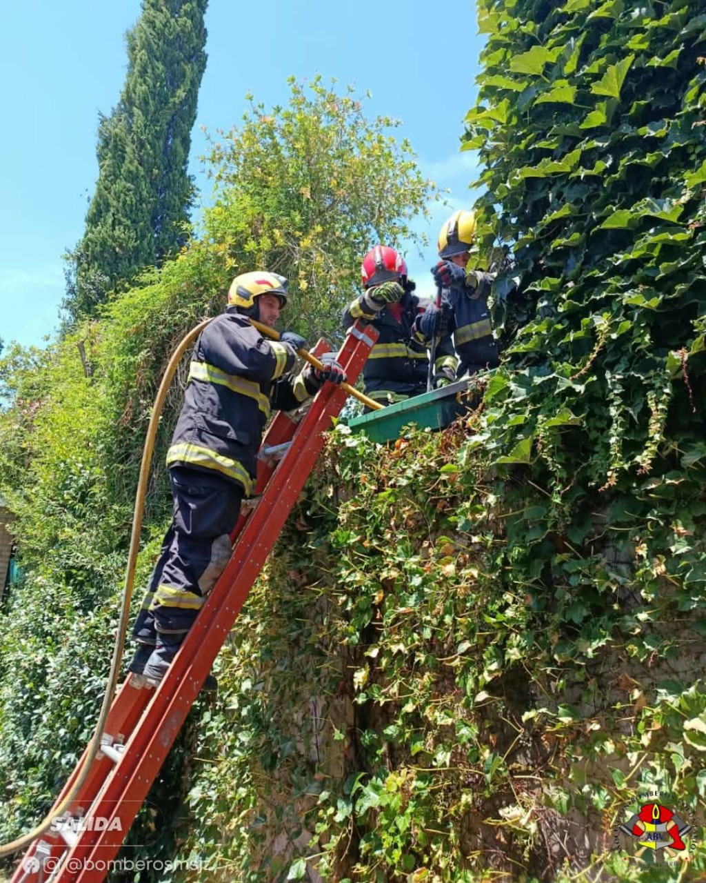 INCENDIO EN VIVIENDA DE MARCOS JUÁREZ