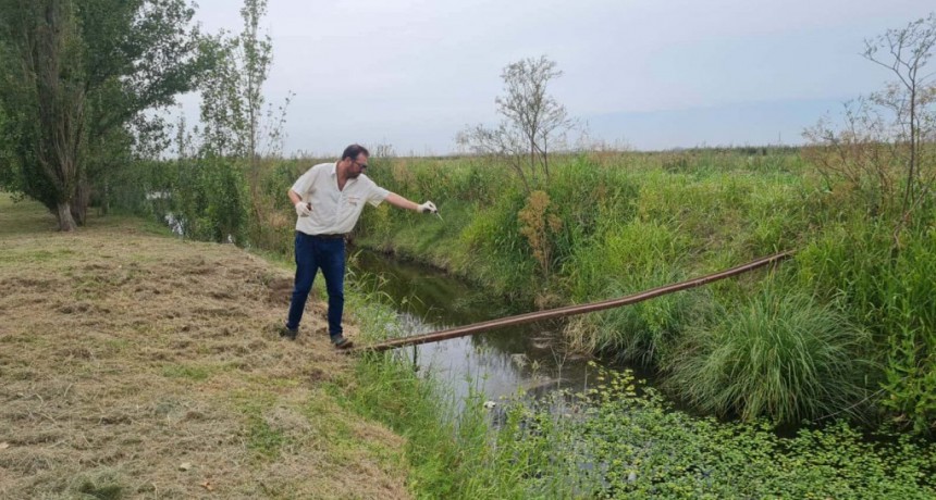 INTENSIFICAN LA LUCHA CONTRA LOS MOSQUITOS