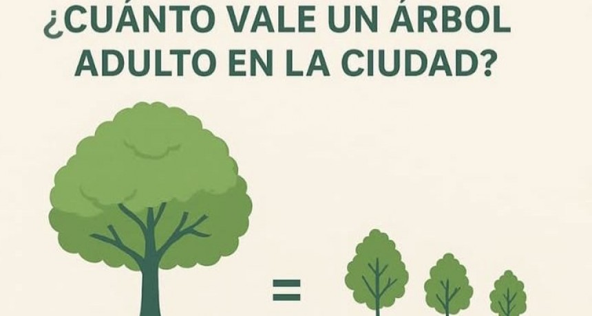 EL VALOR INCALCULABLE DE LOS ÁRBOLES ADULTOS