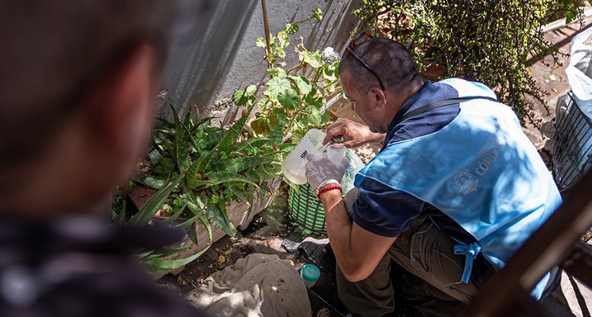 ENTRE TODOS PODEMOS PREVENIR EL DENGUE