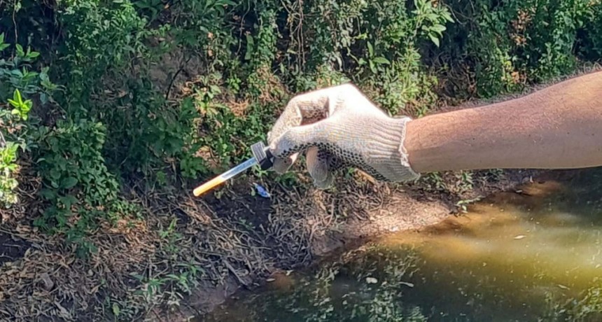 COLOCACIÓN DE LARVICIDAS EN DESAGÜE DE ACCESO NORTE